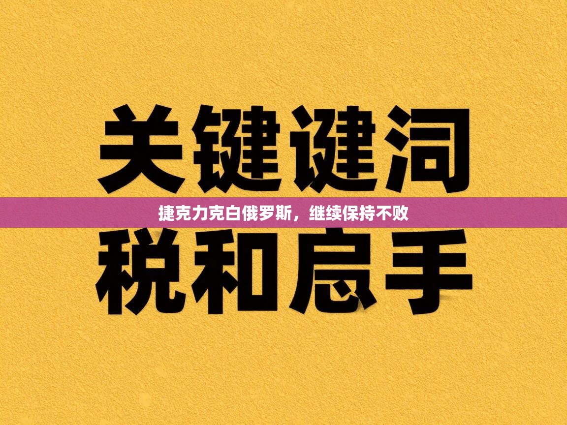 捷克力克白俄罗斯，继续保持不败  第2张