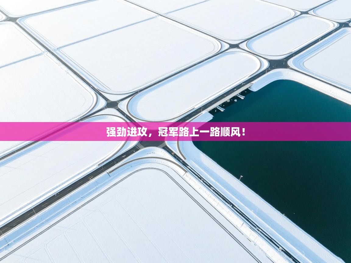 强劲进攻，冠军路上一路顺风！  第2张