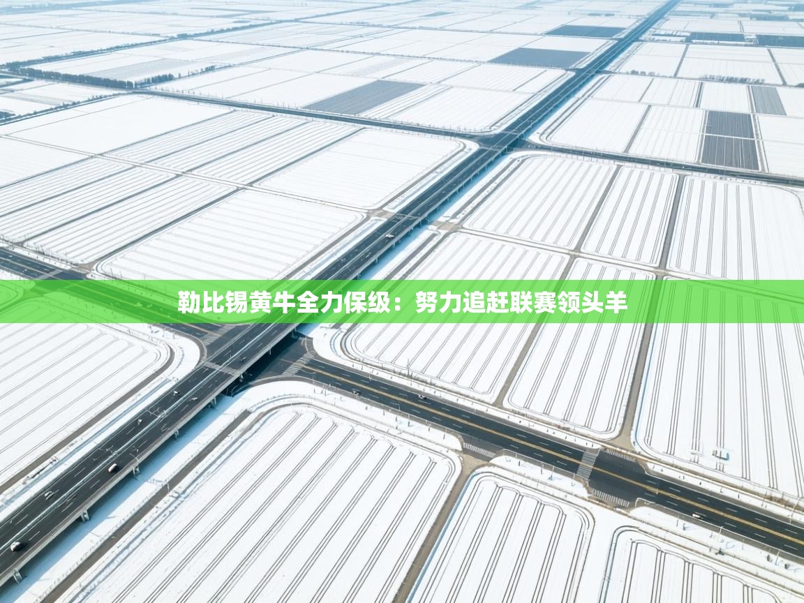 勒比锡黄牛全力保级：努力追赶联赛领头羊  第1张