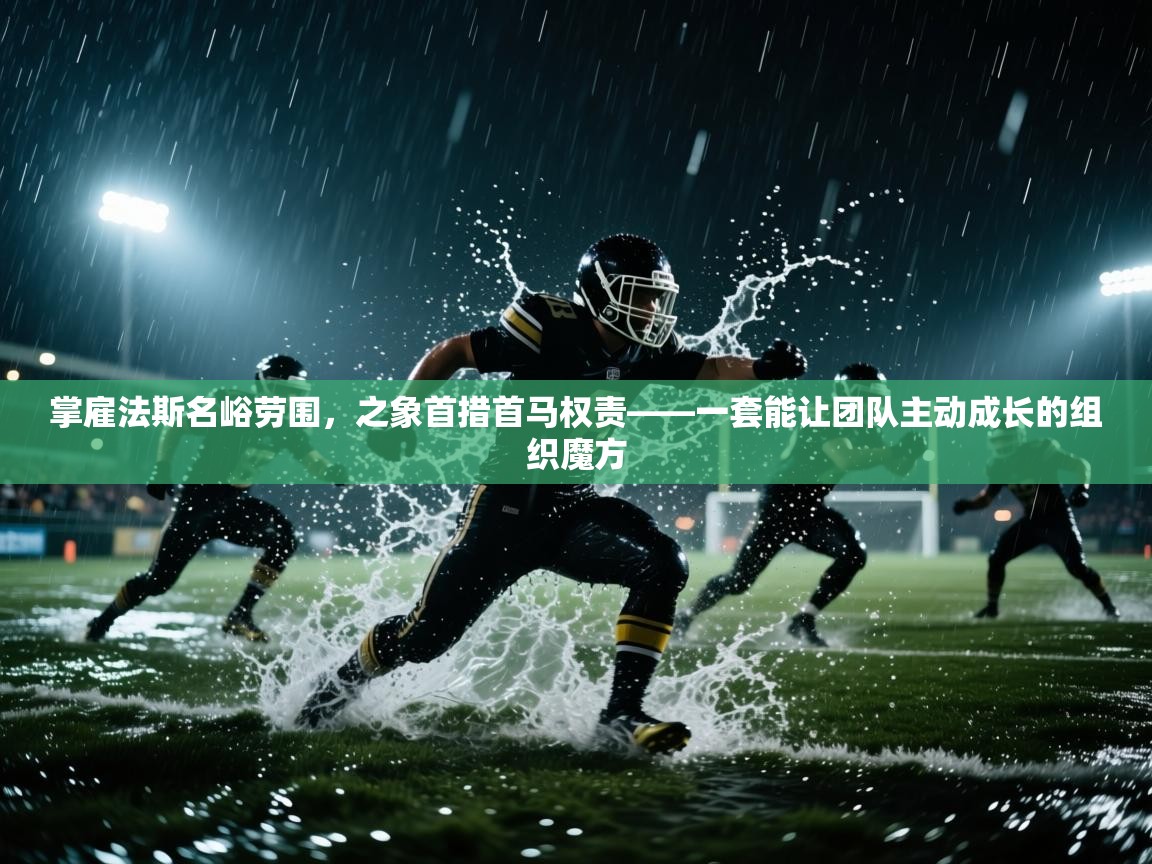 掌雇法斯名峪劳围,之象首措首马权责——一套能让团队主动成长的组织魔方 第2张