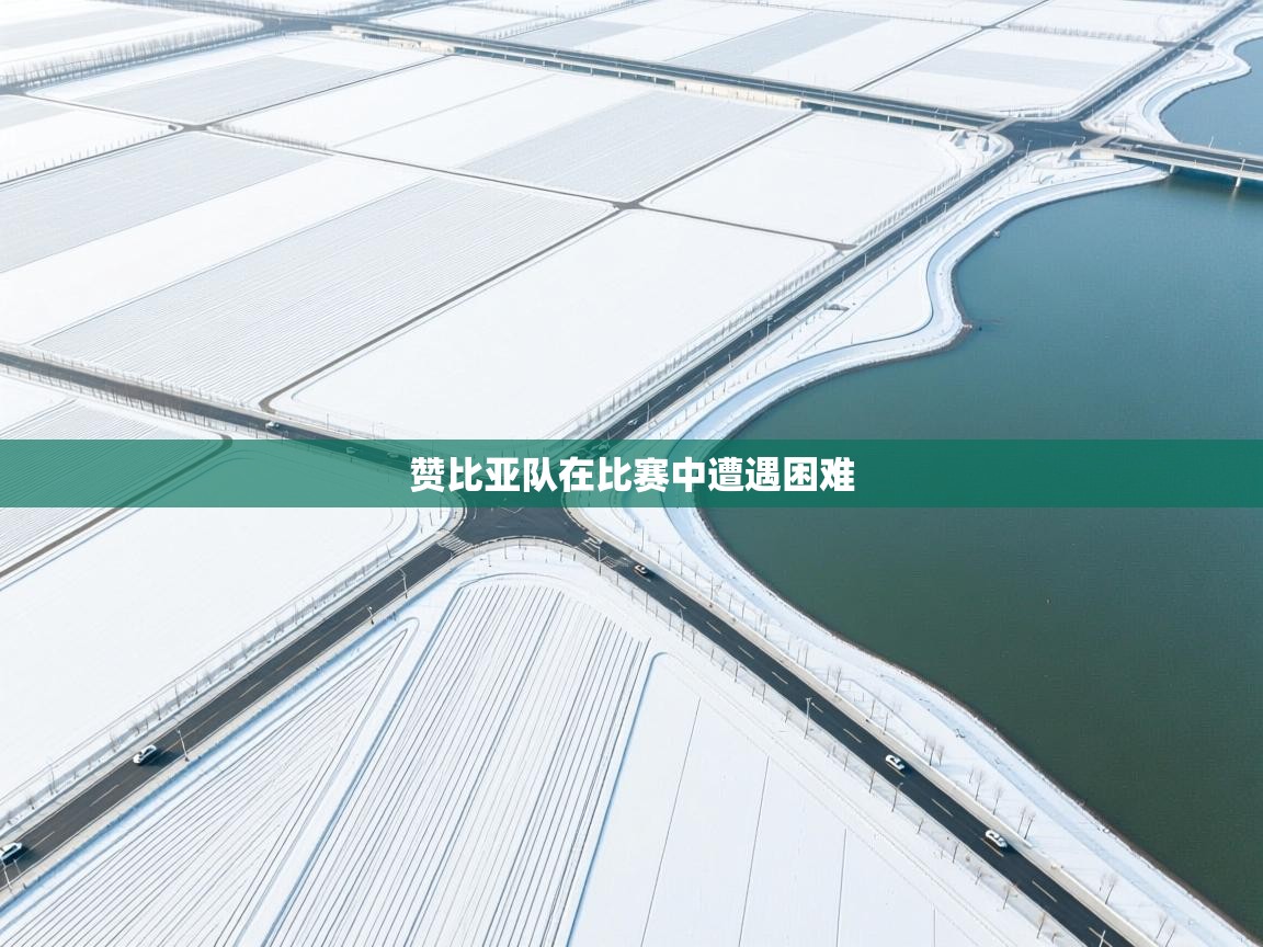 赞比亚队在比赛中遭遇困难  第2张