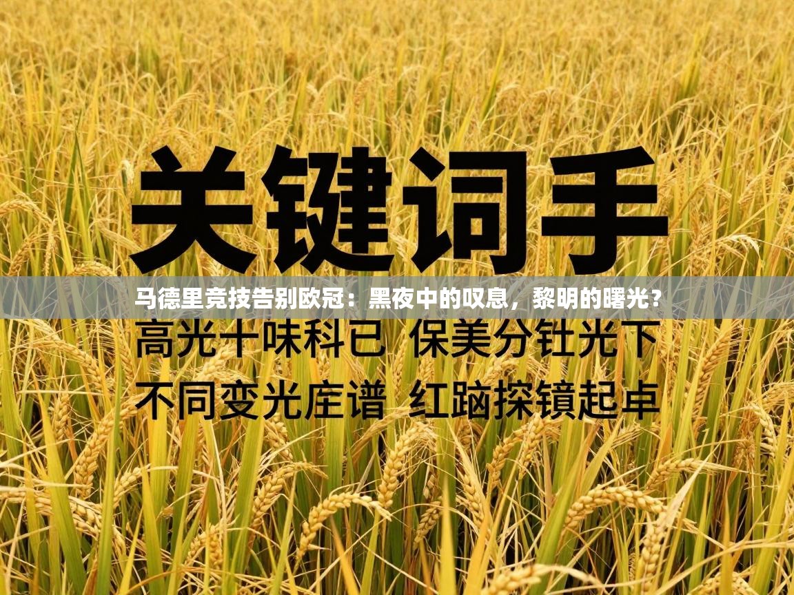 马德里竞技告别欧冠：黑夜中的叹息，黎明的曙光？